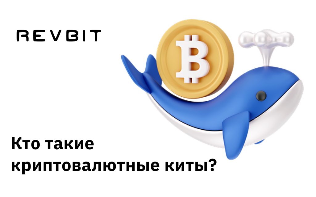 Криптовалютные киты: кто они?