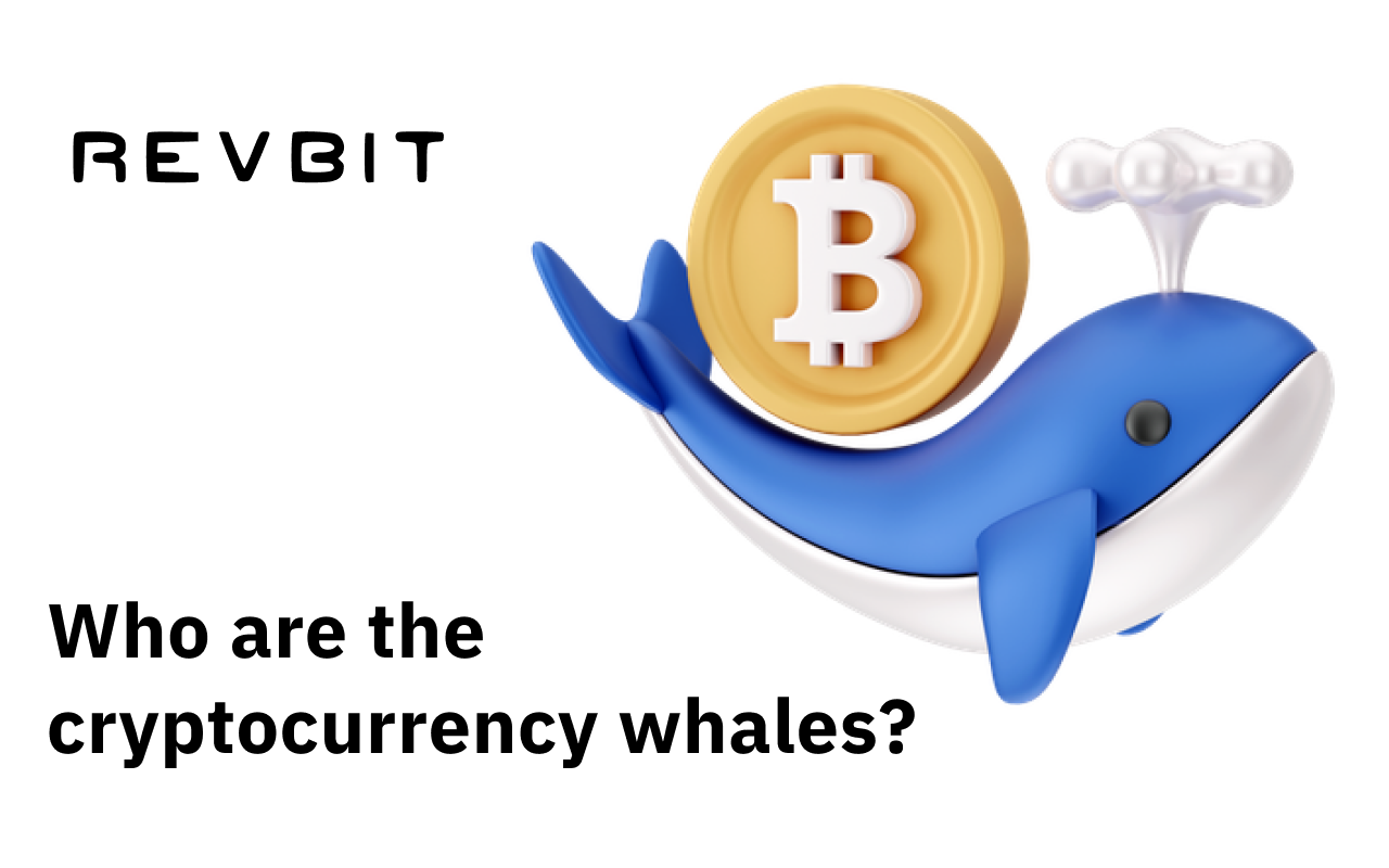 Cryptocurrency whales: who are they?