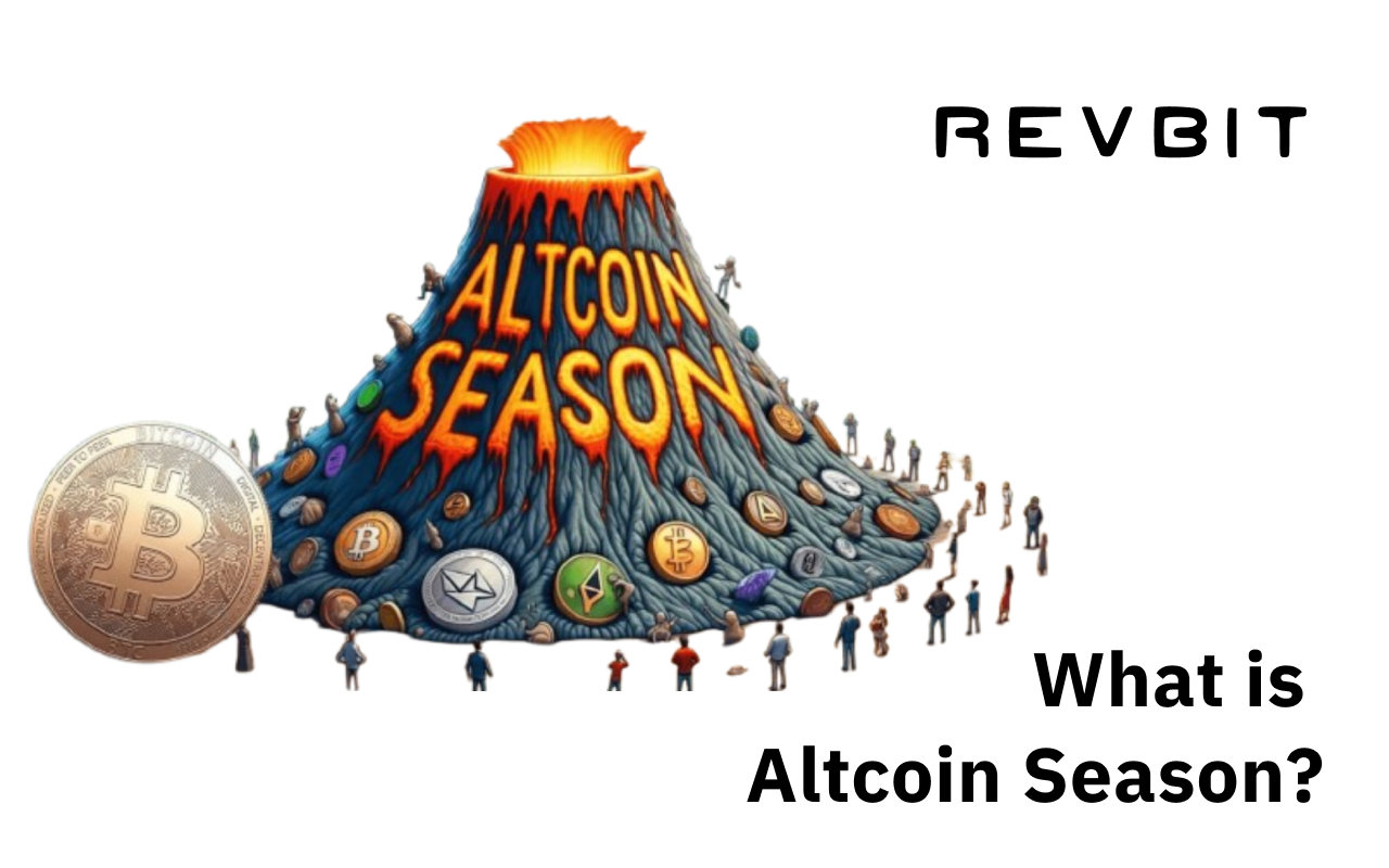 Riding the Waves: Exploring the Altcoin Season Phenomenon