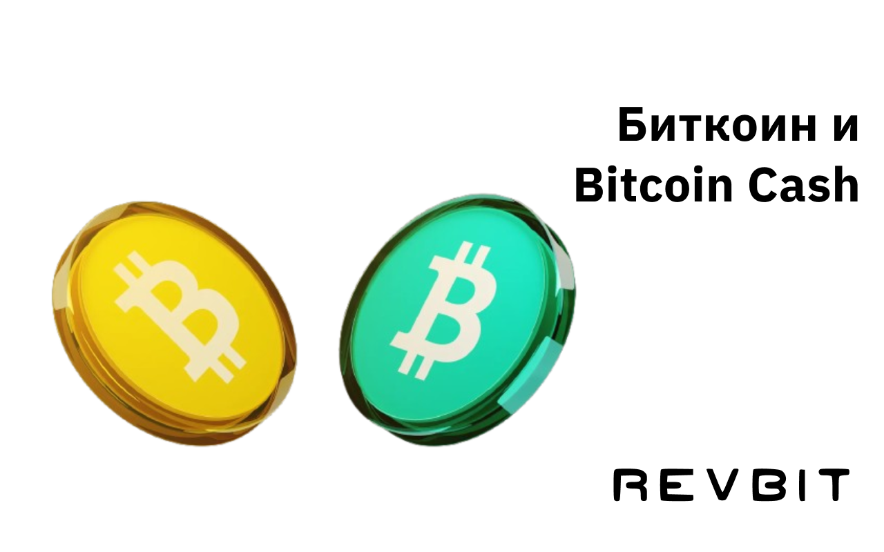 Биткойн и Bitcoin Cash: Раскрываем различия