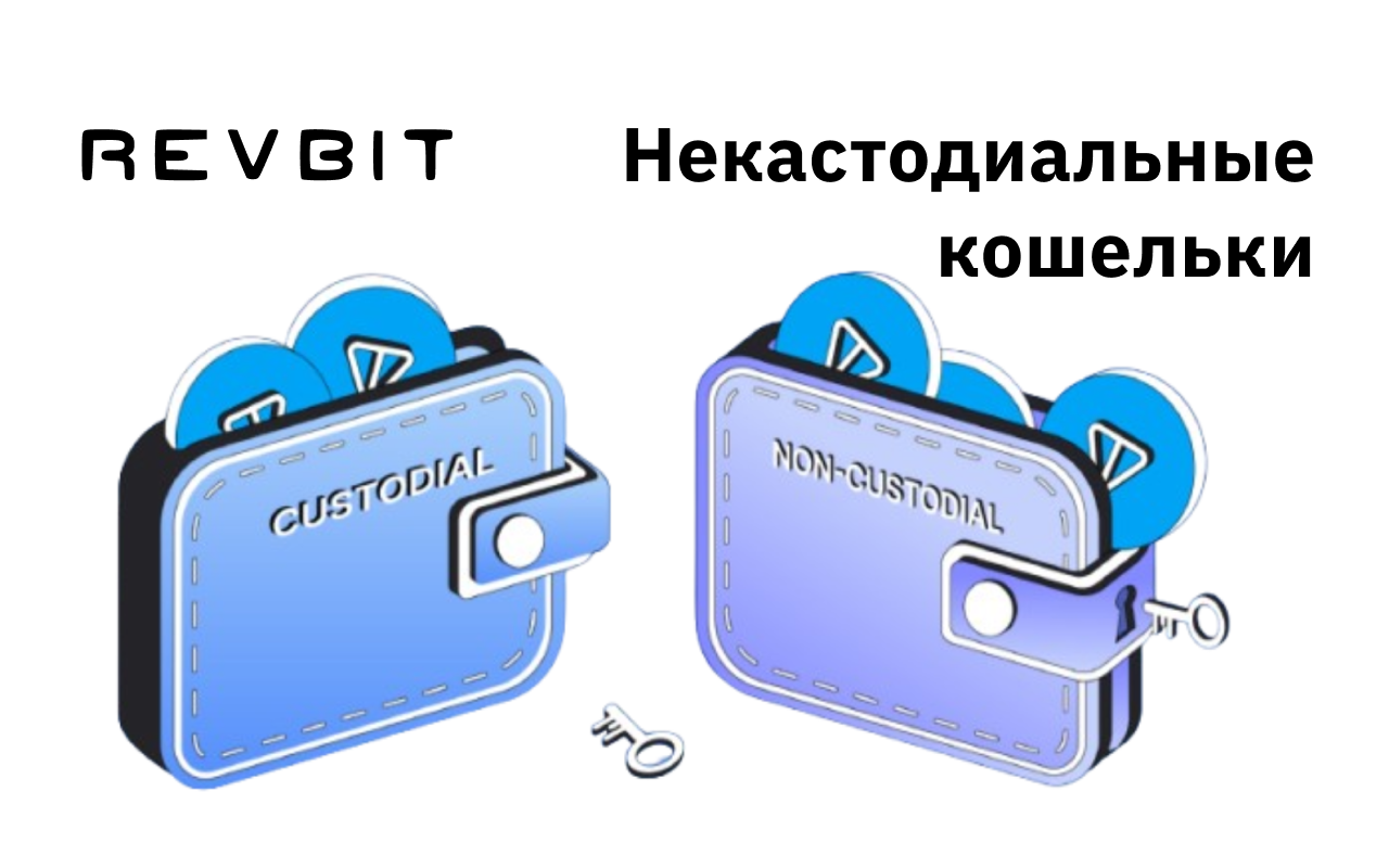 Выбор некастодиальных кошельков: сохраните свои средства