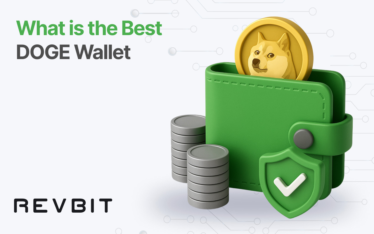 Best DOGE Wallets to Use in 2025 — Top Picks and Reviews