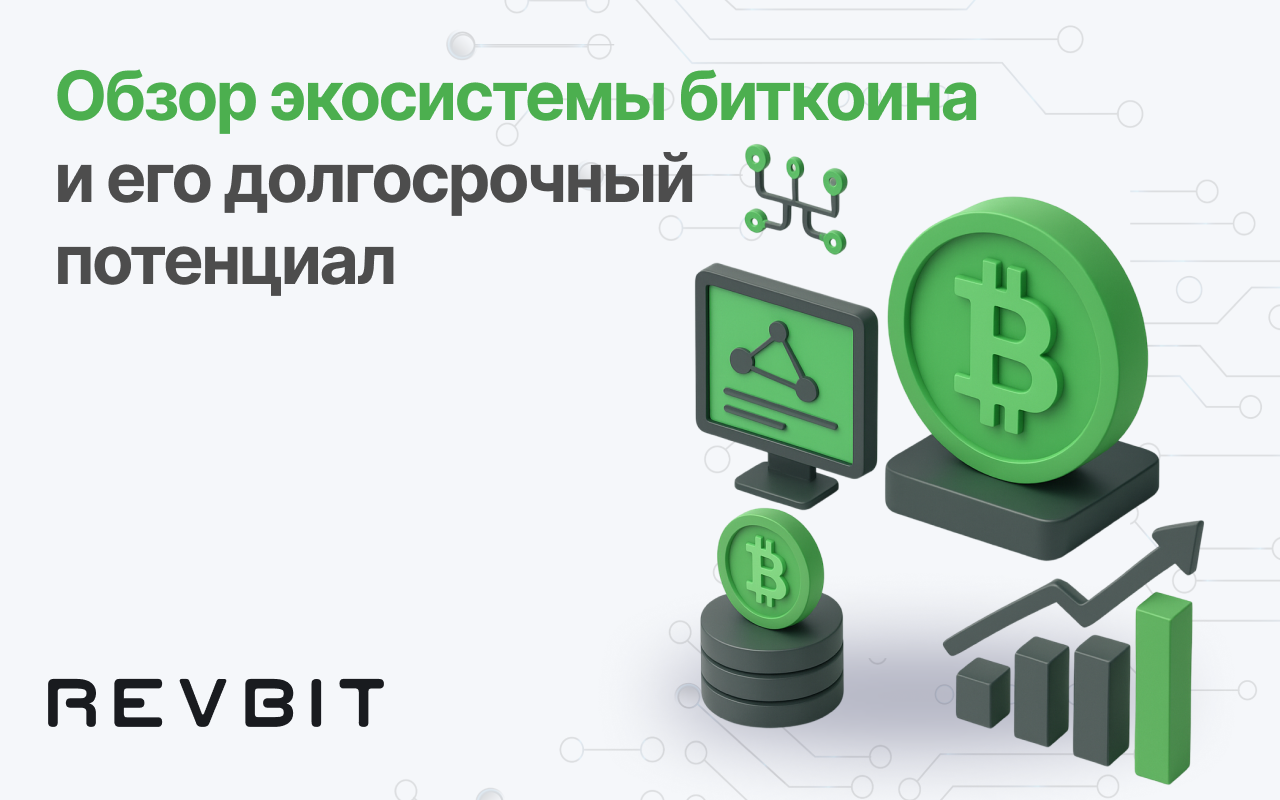 Обзор экосистемы Bitcoin и долгосрочный потенциал