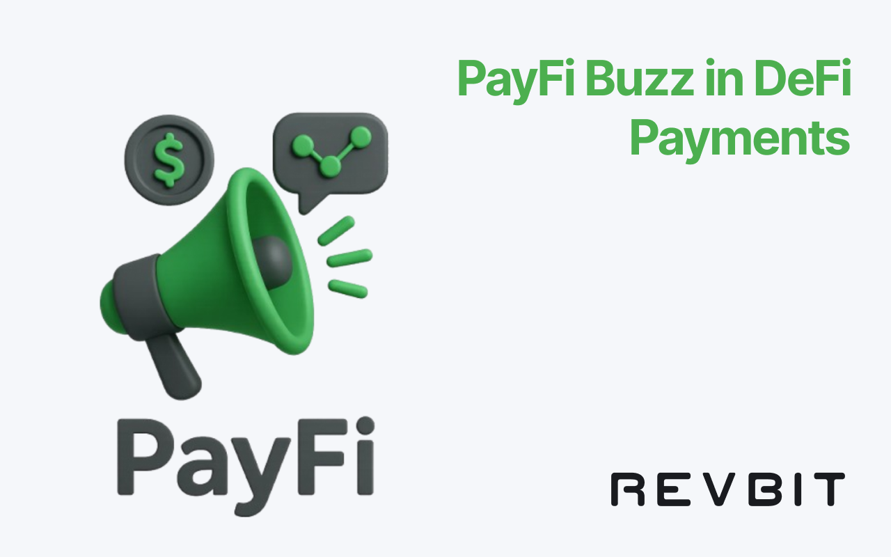 PayFi Buzz in DeFi Payments