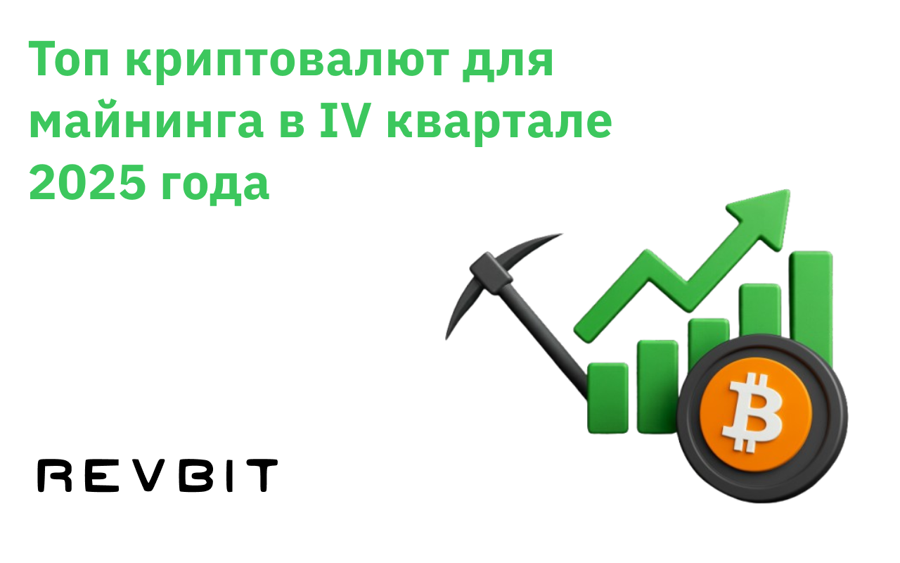 Топ криптовалют для майнинга в IV квартале 2025 года