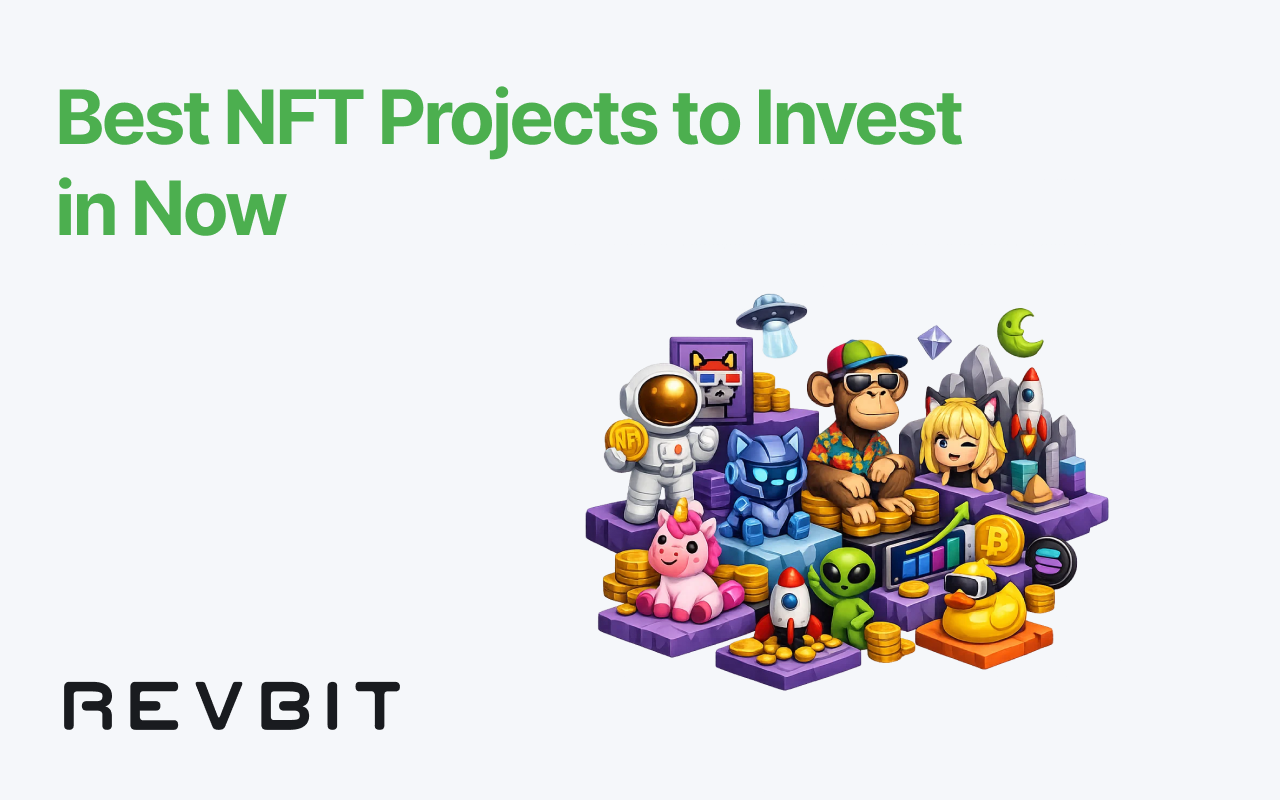 Best NFT Projects to Invest in Now: Top Affordable NFTs