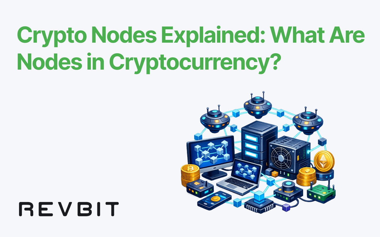Crypto Nodes Explained: What Are Nodes in Cryptocurrency?