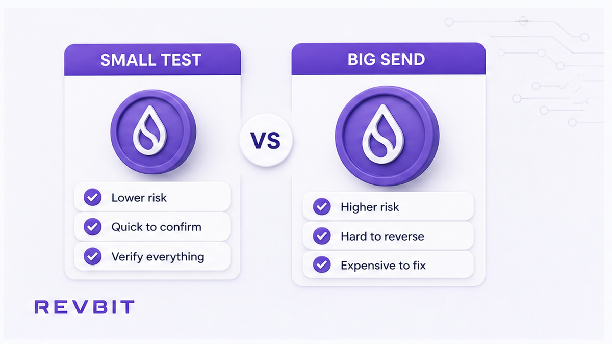 Comparison card: cheap $20–50 test swap versus costly wrong-network loss