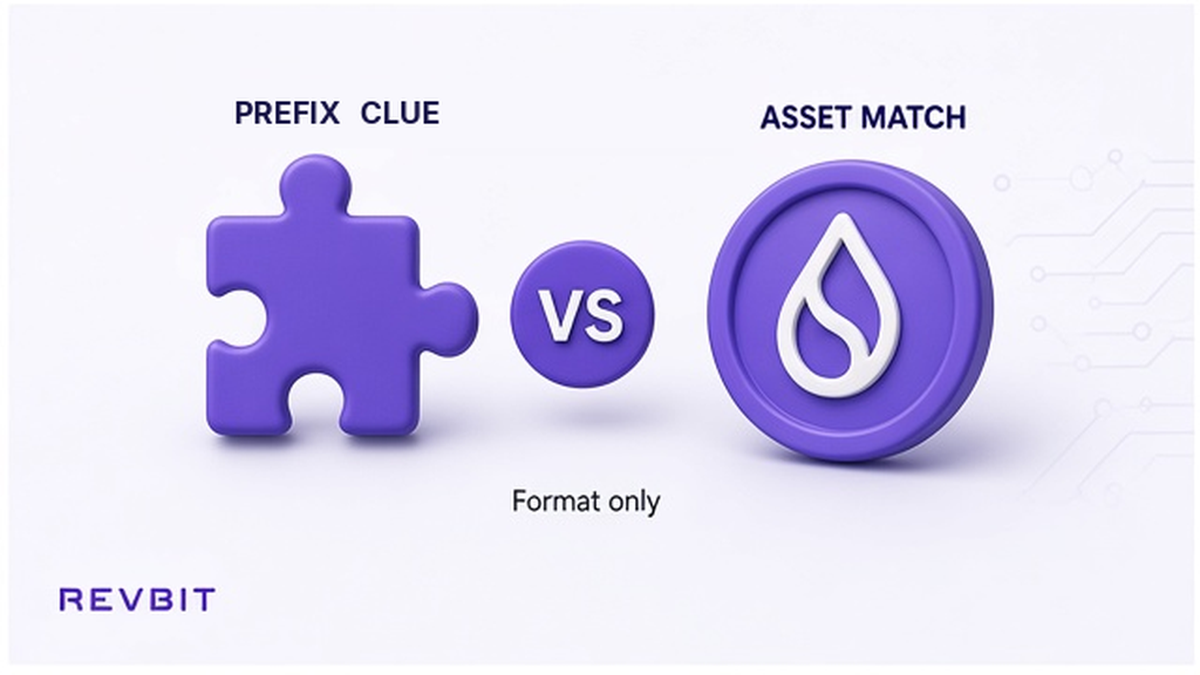 Comparison of an address prefix family clue versus matching the asset and named network