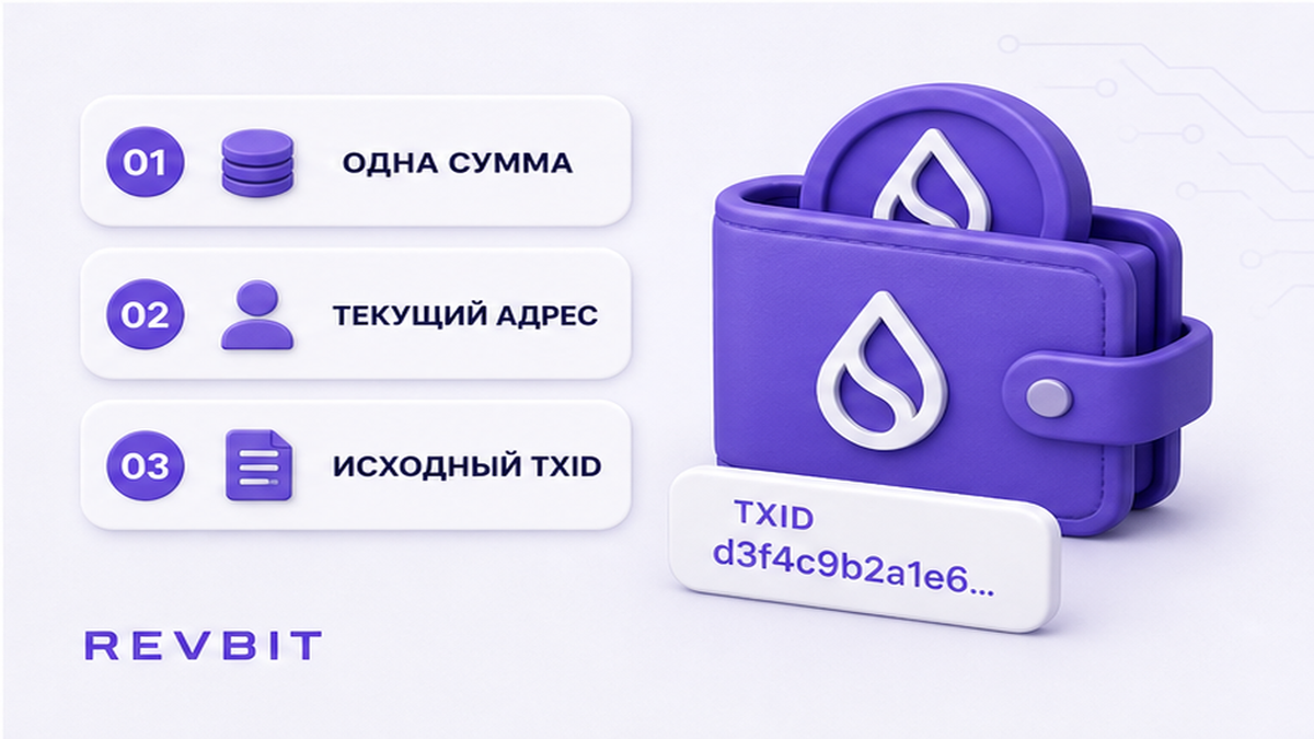 Три шага: одна сумма на адрес текущей заявки и сохранение исходного TxID
