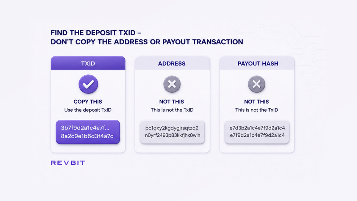 Comparison showing the BTC deposit TxID versus an address and payout hash