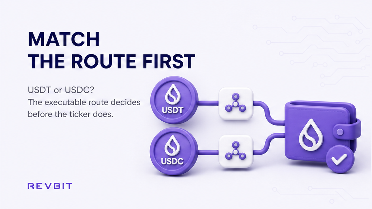 How to Choose USDT or USDC Before an Instant Swap